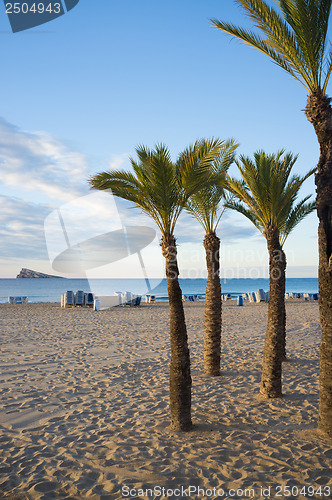 Image of Costa Blanca beach