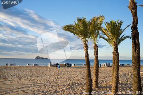 Image of Benidorm beach