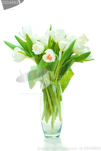 Image of Beautiful tulips in glass vase