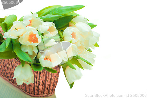 Image of Beautiful tulips in basket