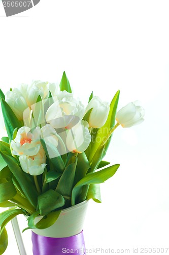 Image of White tulips in vase