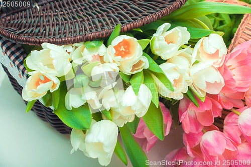 Image of Beautiful tulips in basket