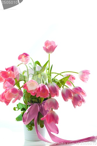 Image of Beautiful pink tulips in white pot