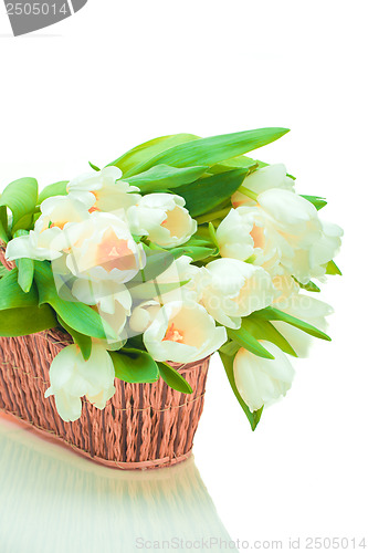 Image of Beautiful tulips in basket