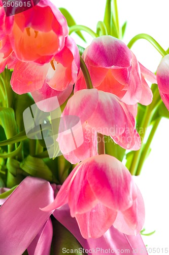 Image of Beautiful pink tulips