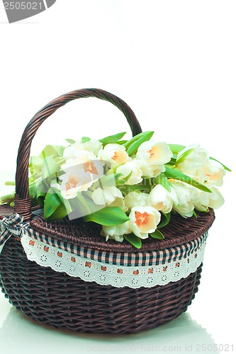 Image of Beautiful tulips in basket