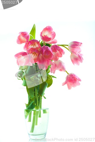 Image of Beautiful tulips in glass vase