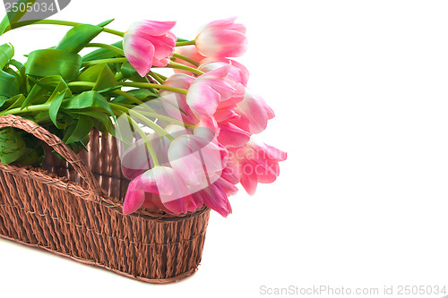 Image of Bright flowers in basket
