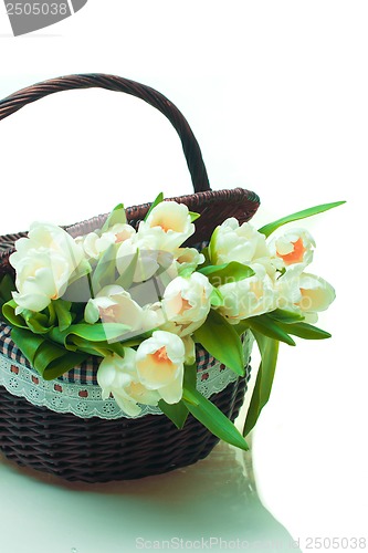 Image of Beautiful tulips in basket