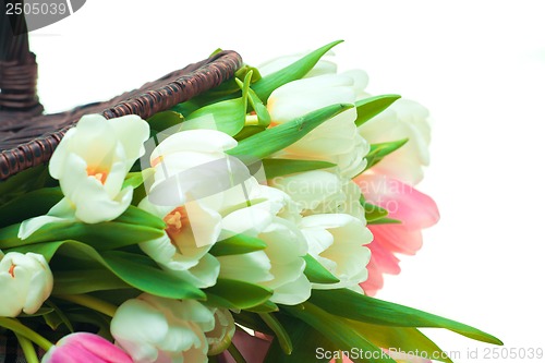 Image of Beautiful tulips in basket