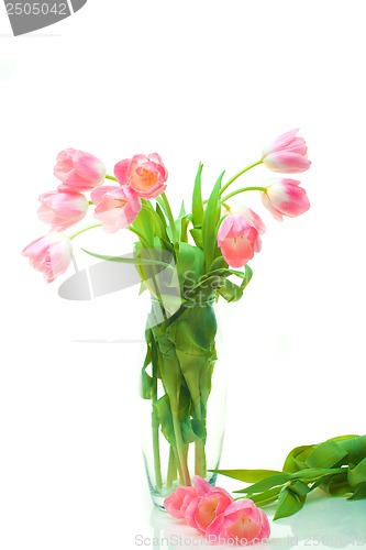 Image of Beautiful tulips in glass vase