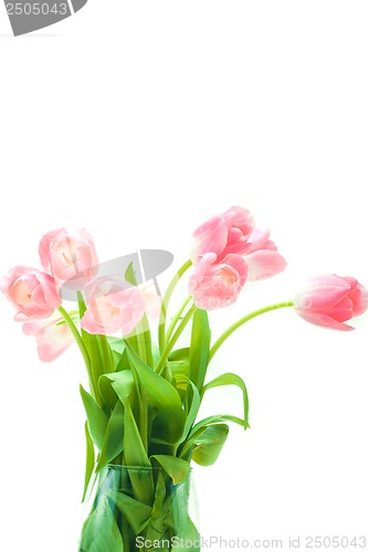 Image of Beautiful tulips in glass vase