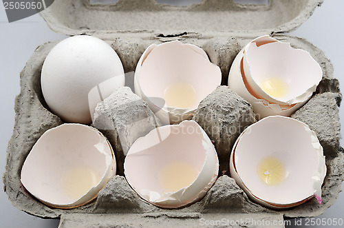 Image of egg and egg shells in container