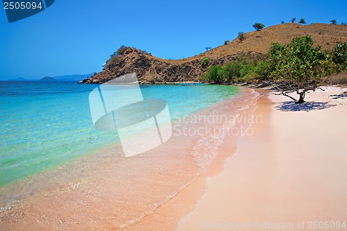 Image of Pink Beach