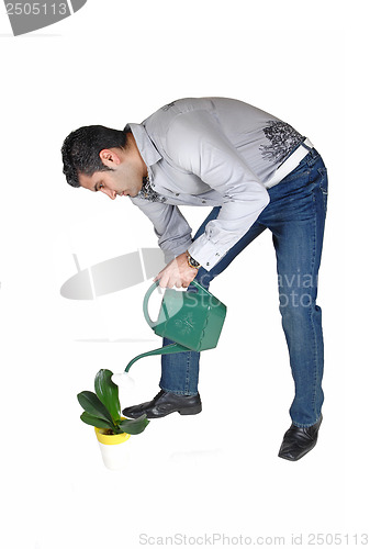 Image of Man watering plant.