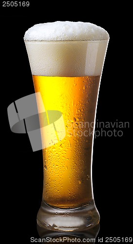 Image of Glass of beer 