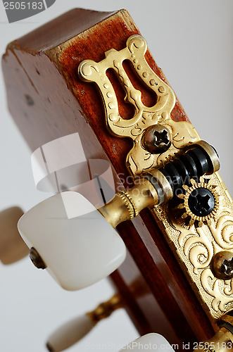 Image of head guitar neck with tuning pegs