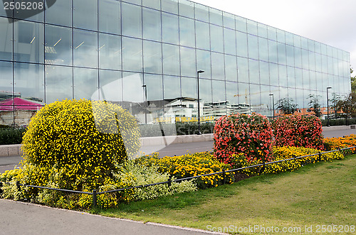 Image of vertical flowerbed against the building of glass in Helsinki