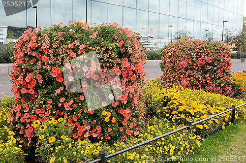 Image of vertical flowerbed against the building of glass