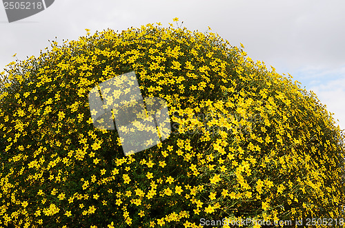 Image of vertical flowerbed against sky in Helsinki