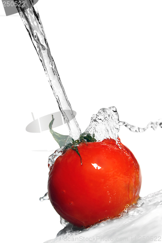 Image of Tomatos and Water