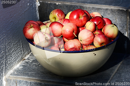Image of bowl with ripe apples