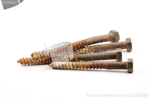 Image of four rusty screws on a white 