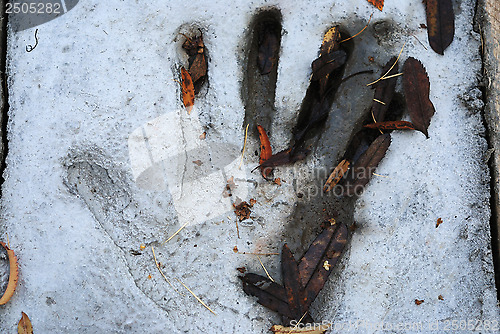 Image of handprint in cement