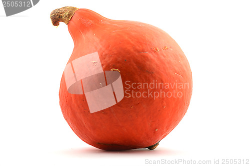 Image of red ripe pumpkin