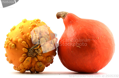 Image of red and yellow pumpkin