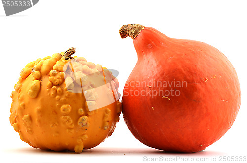 Image of red and yellow pumpkin