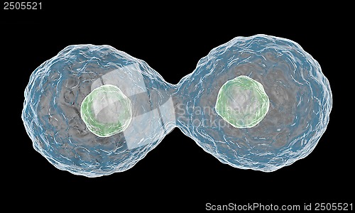 Image of Multiplying Cells on Black Background.