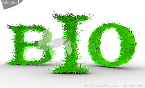 Image of Bio. Letters with grass on it.