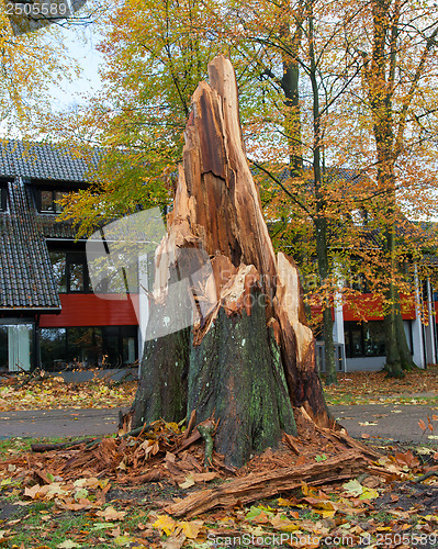 Image of Storm damage