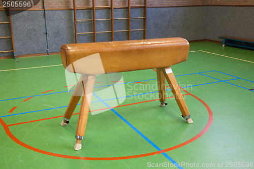 Image of Pommel horse