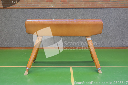 Image of Pommel horse