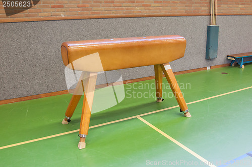 Image of Pommel horse