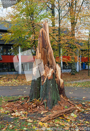 Image of Storm damage