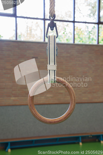 Image of Gymnastic ring