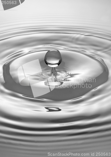 Image of drop