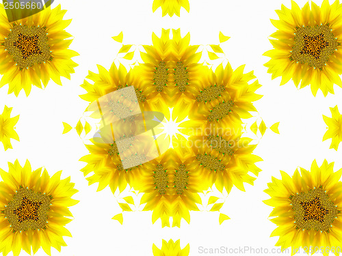 Image of Abstract pattern of sunflower 