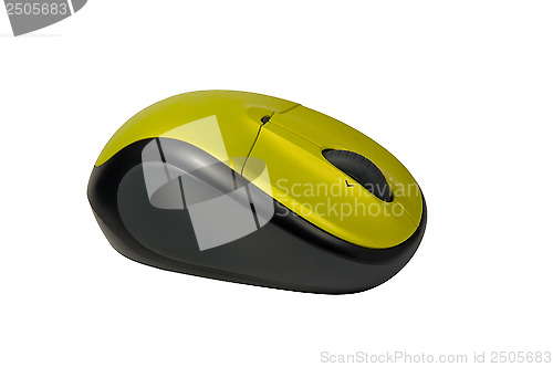 Image of Computer mouse.