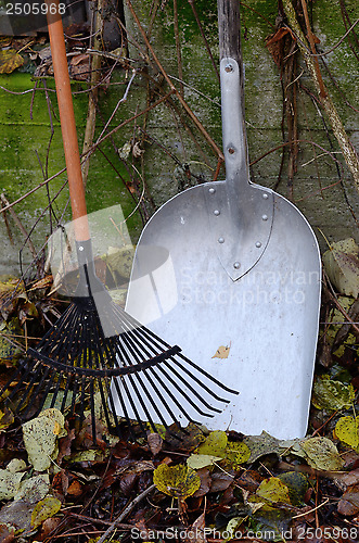 Image of autumn still life, rake, shovel, and leaves