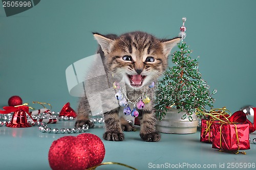 Image of small  kitten among Christmas stuff