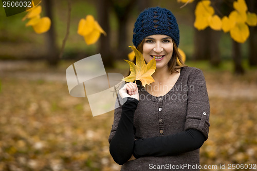 Image of Enjoying the autumn