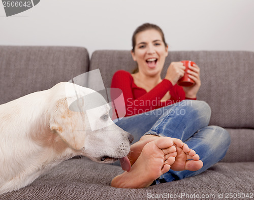 Image of Dog licking the toes