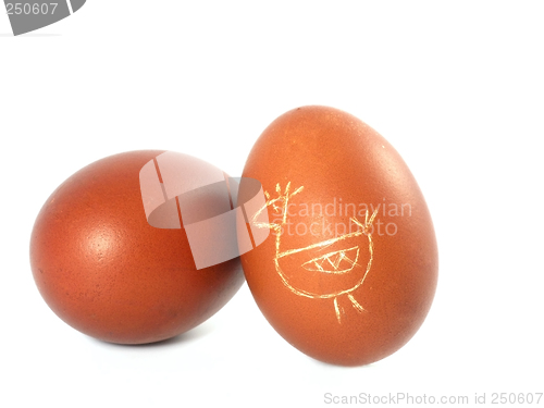 Image of eggs