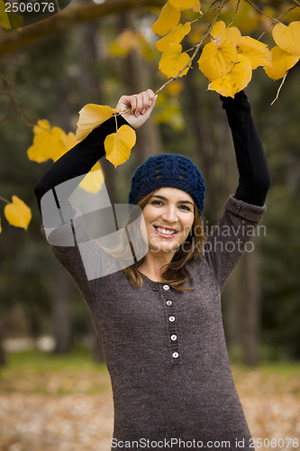 Image of Enjoying the autumn