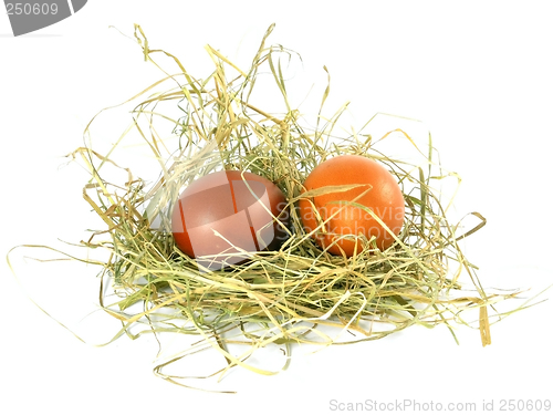 Image of eggs