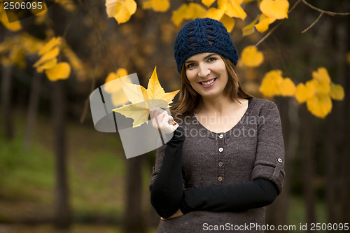 Image of Enjoying the autumn